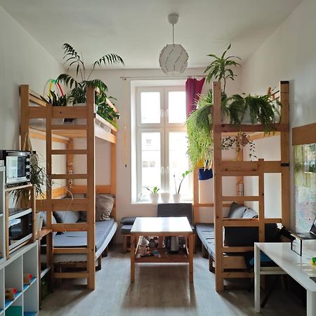 Evergreen Hostel Cracovie Extérieur photo