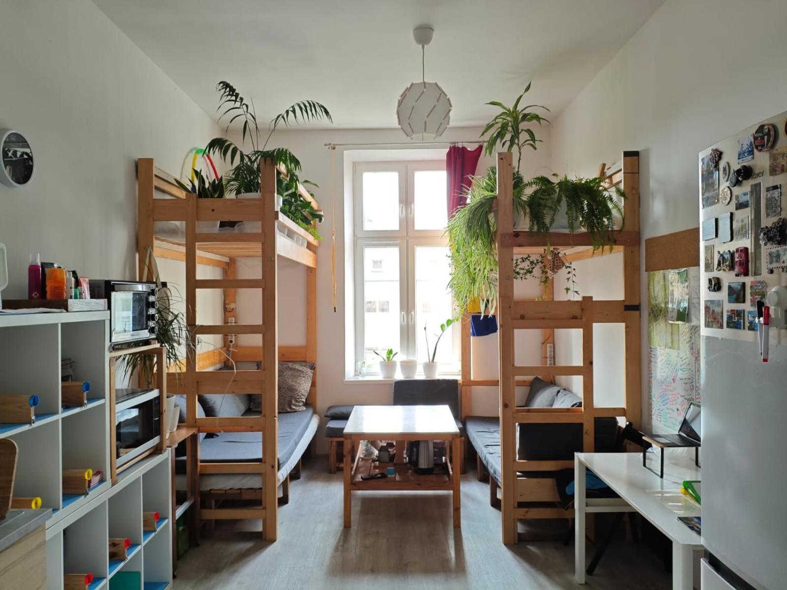 Evergreen Hostel Cracovie Extérieur photo