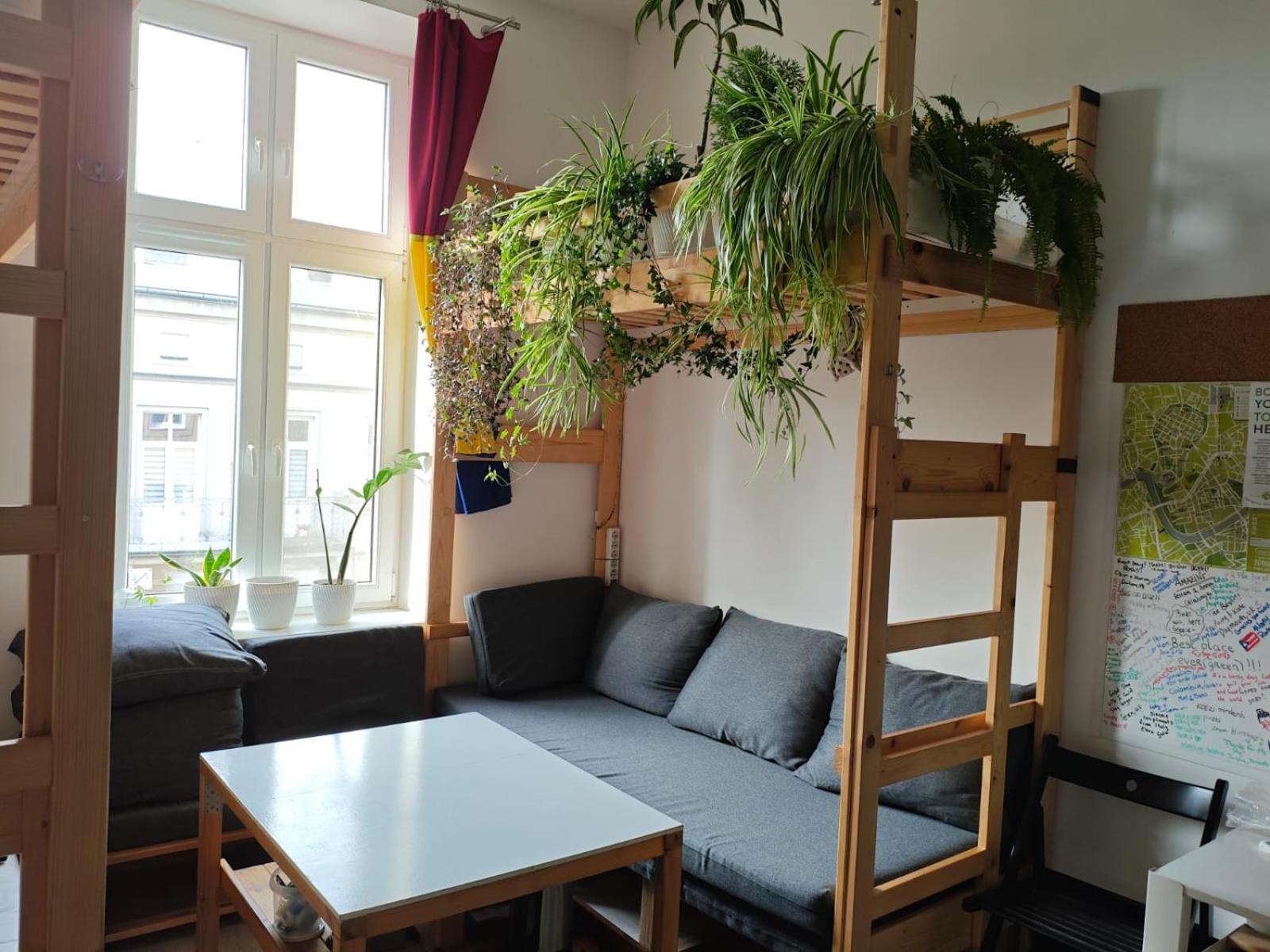 Evergreen Hostel Cracovie Extérieur photo
